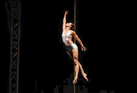 Pole dance